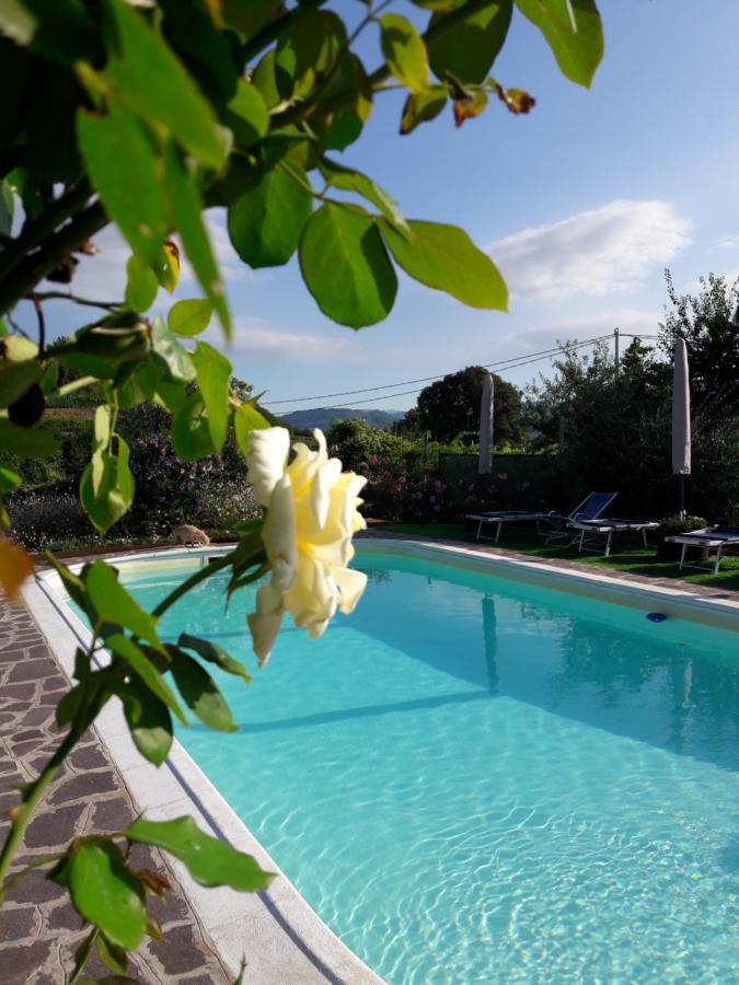 Corte Soave Montecchia di Crosara Экстерьер фото